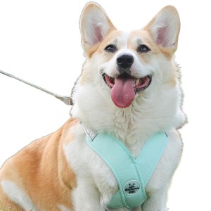 Dog harness and leash